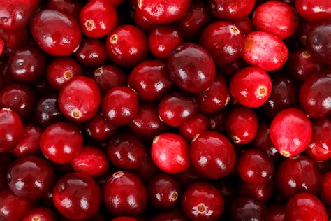 stock cranberry